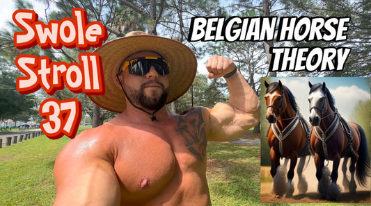 Belgian Horse Theory