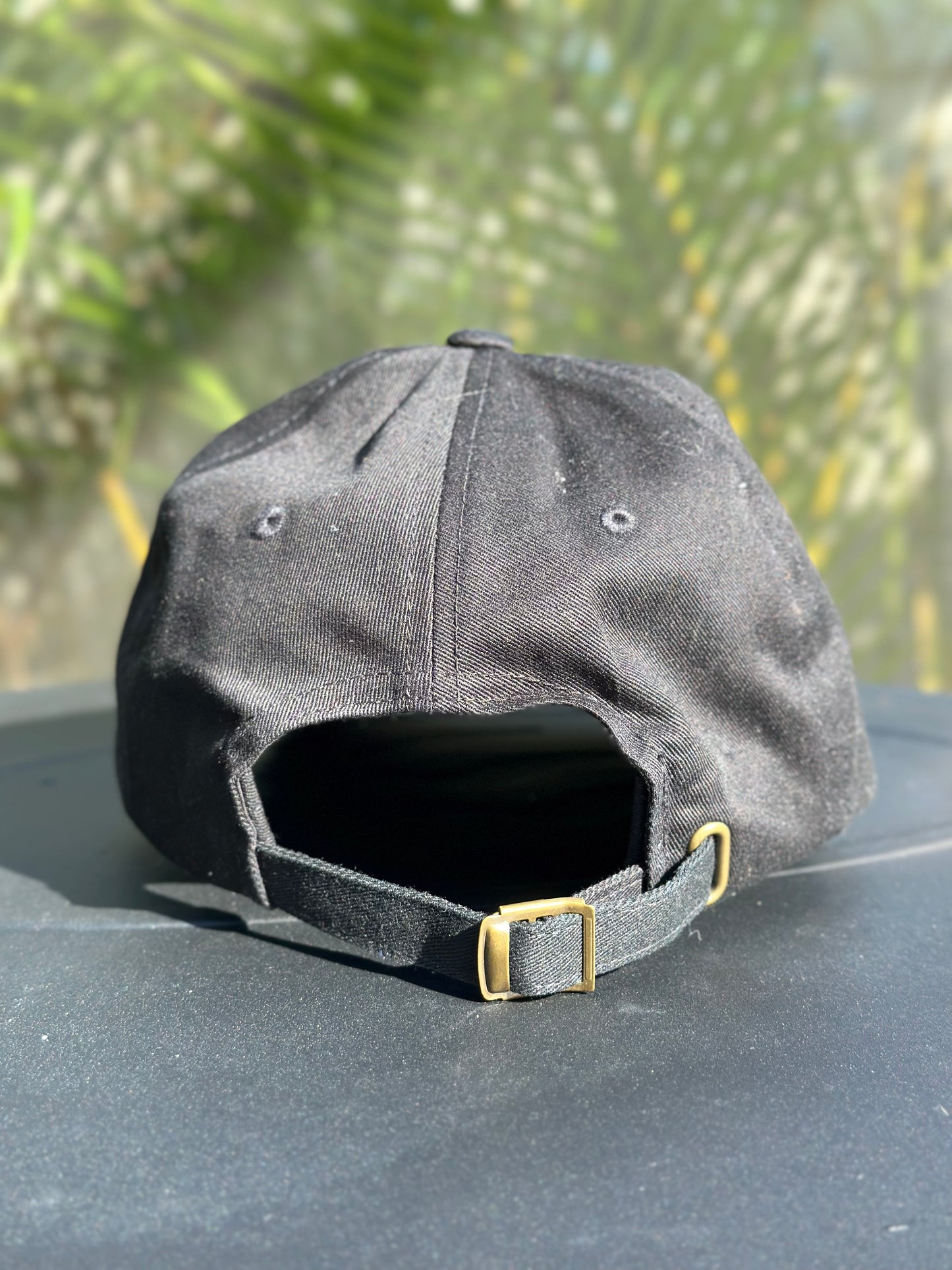 TF Dad Hat